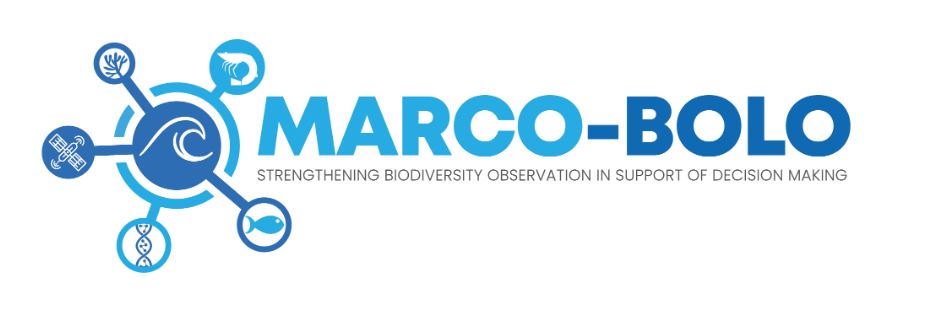 Marcobolo-logo