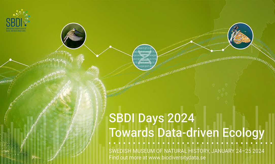 SBDI Days 2024